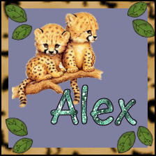 cheetaalexsig.gif