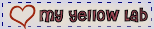myyllowlabbyamy.gif