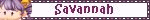 savannah.gif