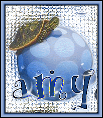 turtlecircletagbyamy.gif